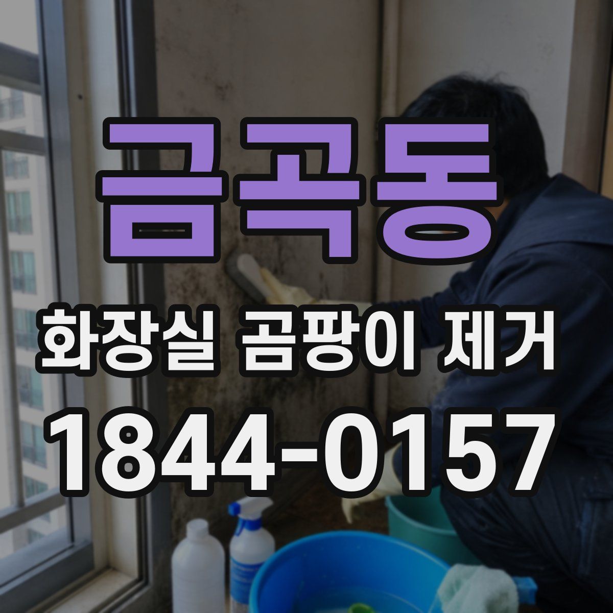 금곡동 화장실 곰팡이 제거
