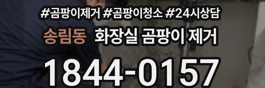 송림동 화장실 곰팡이 제거