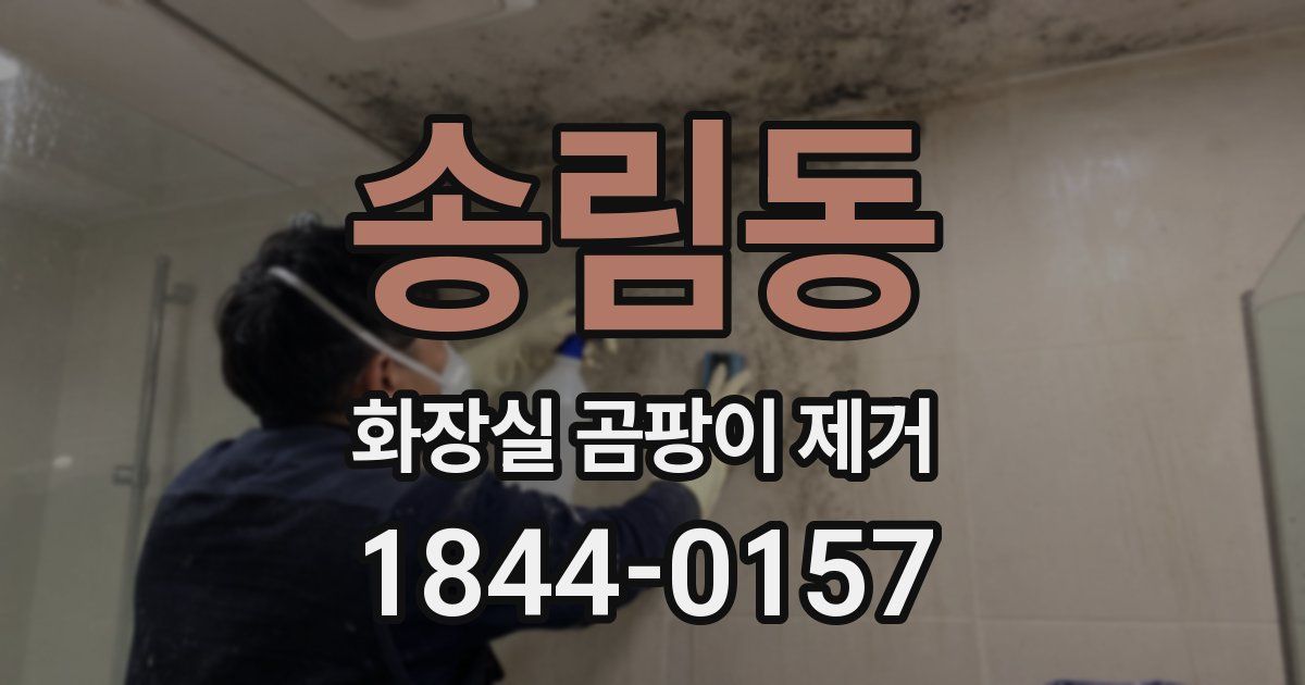 송림동 화장실 곰팡이 제거