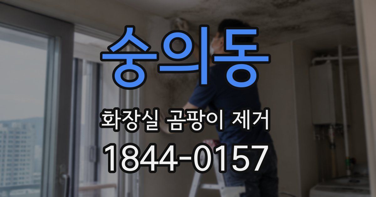 숭의동 화장실 곰팡이 제거