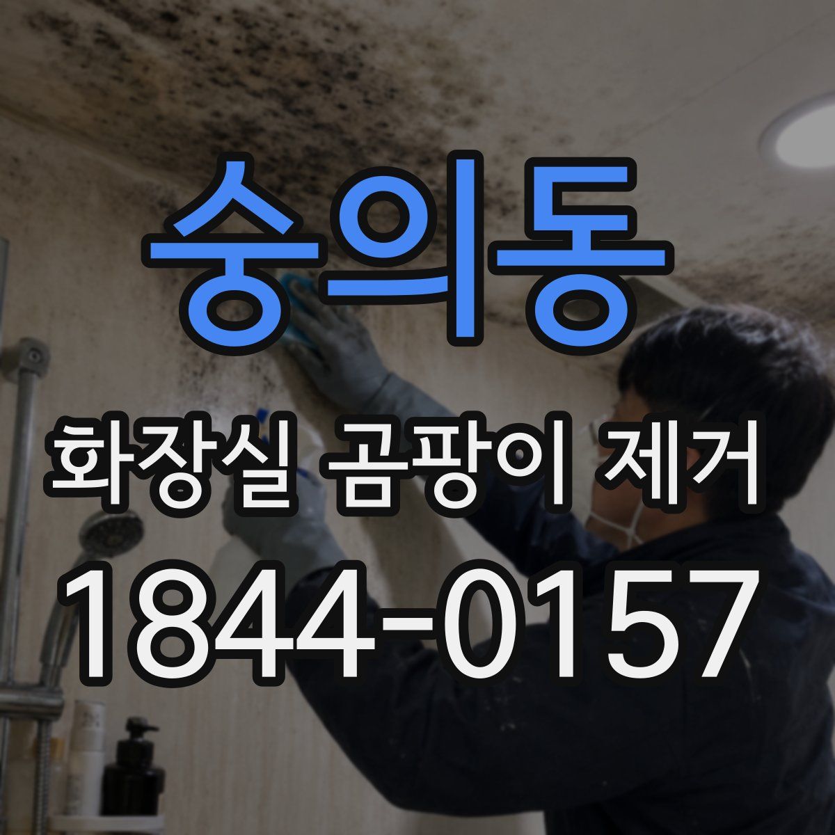 숭의동 화장실 곰팡이 제거