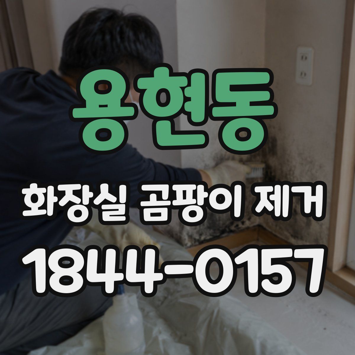 용현동 화장실 곰팡이 제거