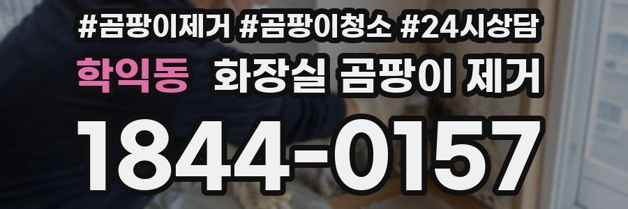 학익동 화장실 곰팡이 제거