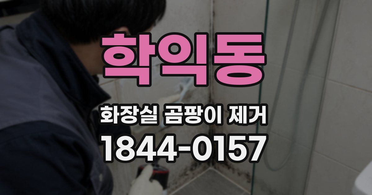 학익동 화장실 곰팡이 제거