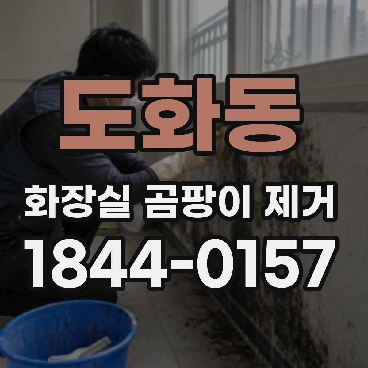 도화동 화장실 곰팡이 제거