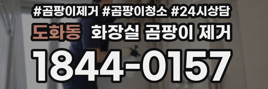 도화동 화장실 곰팡이 제거