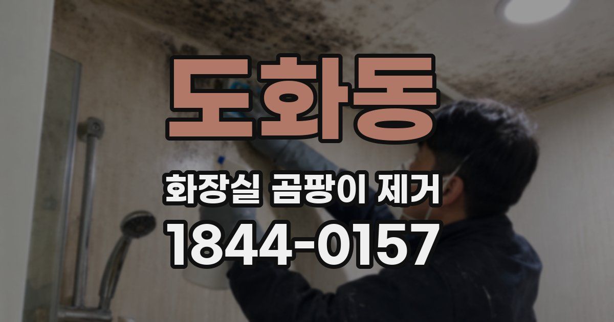 도화동 화장실 곰팡이 제거