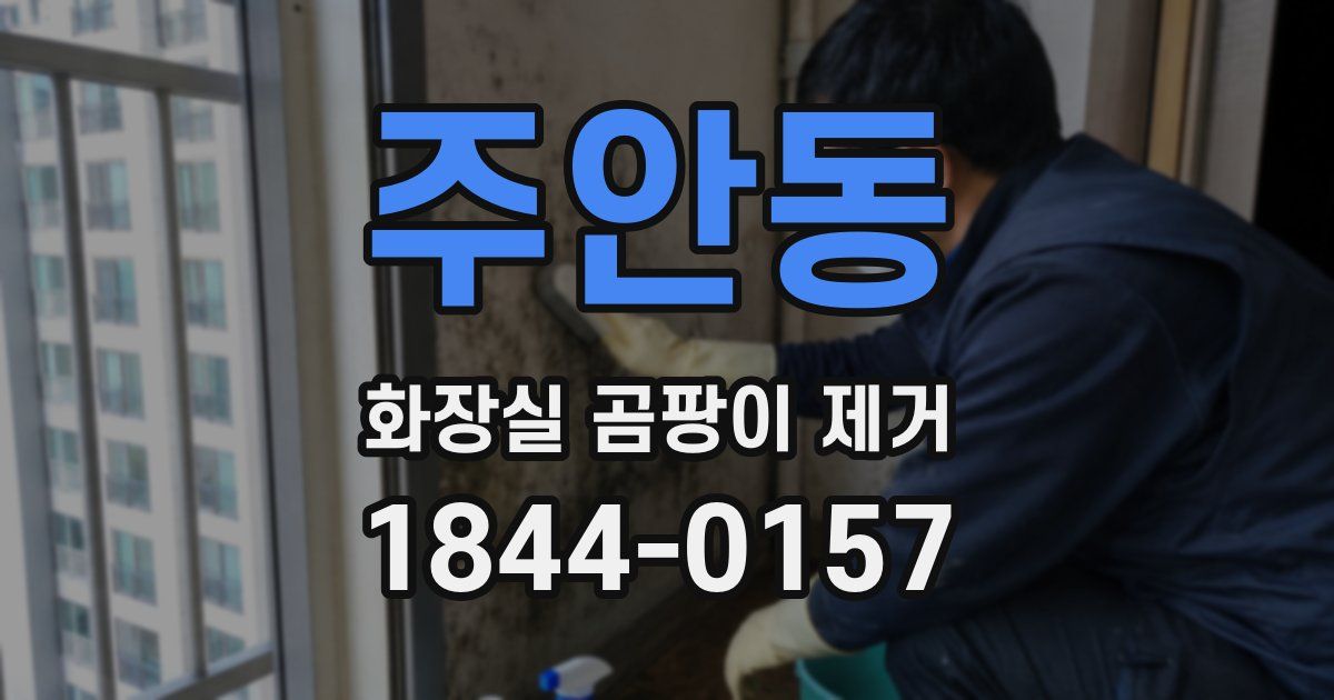 주안동 화장실 곰팡이 제거