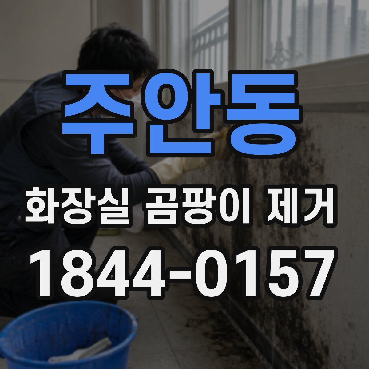 주안동 화장실 곰팡이 제거