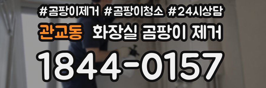 관교동 화장실 곰팡이 제거