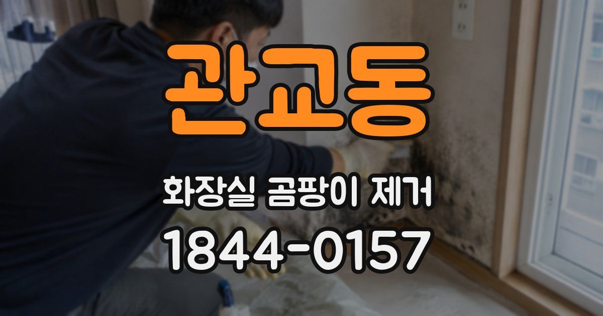관교동 화장실 곰팡이 제거