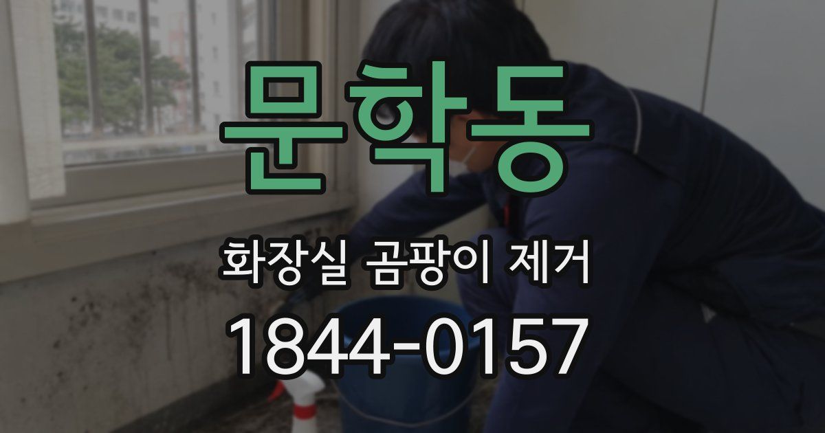 문학동 화장실 곰팡이 제거