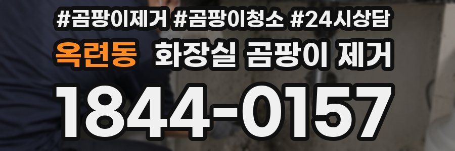 옥련동 화장실 곰팡이 제거