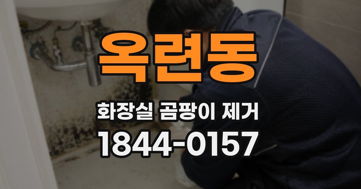 옥련동 화장실 곰팡이 제거