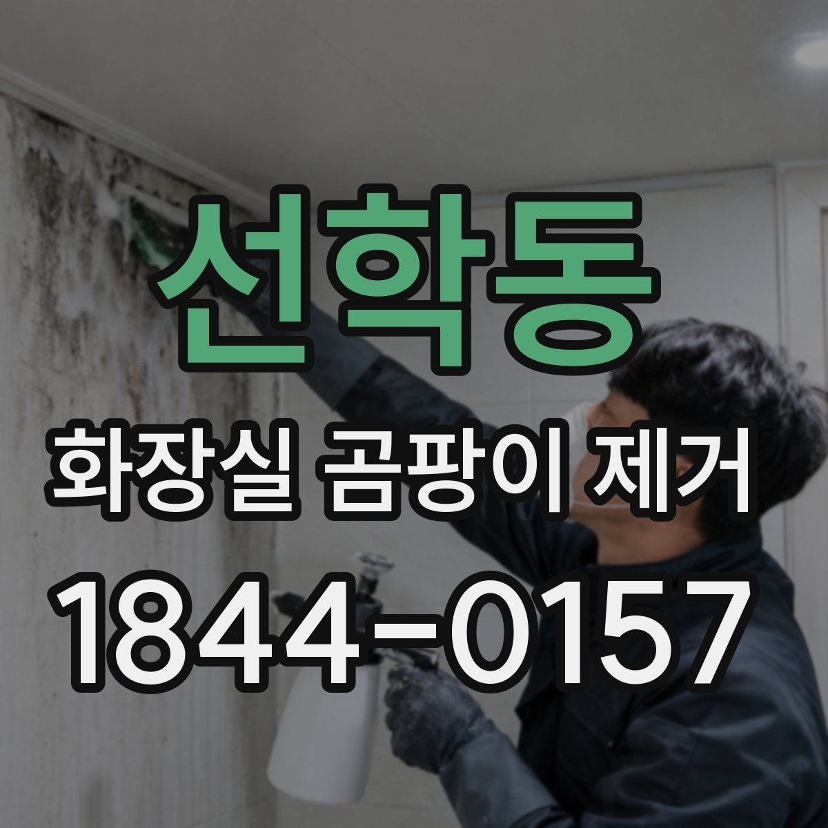 선학동 화장실 곰팡이 제거