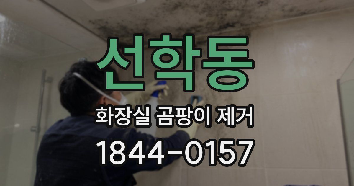 선학동 화장실 곰팡이 제거
