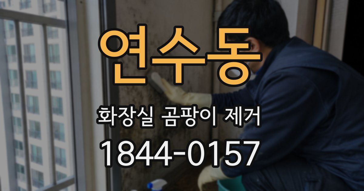 연수동 화장실 곰팡이 제거
