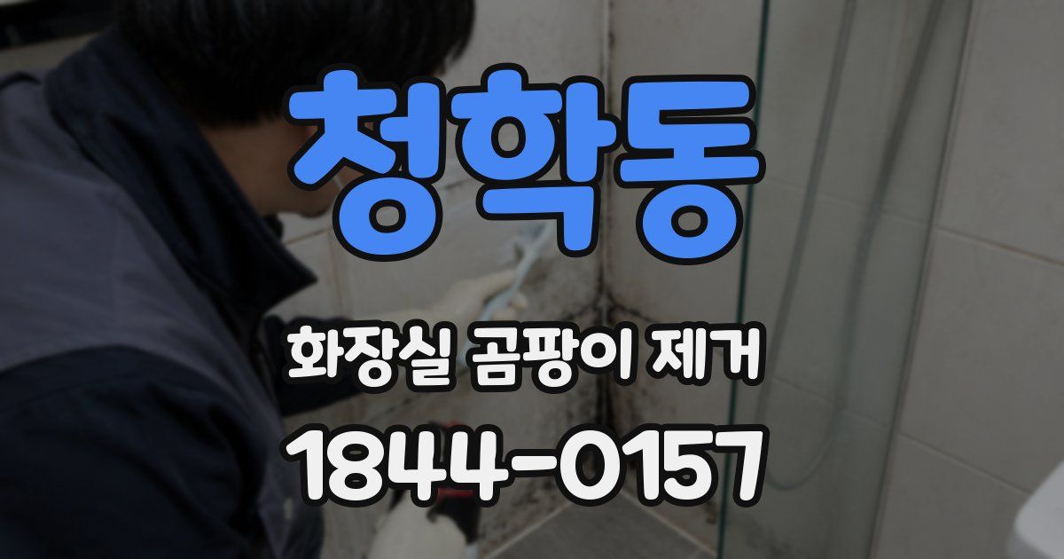 청학동 화장실 곰팡이 제거