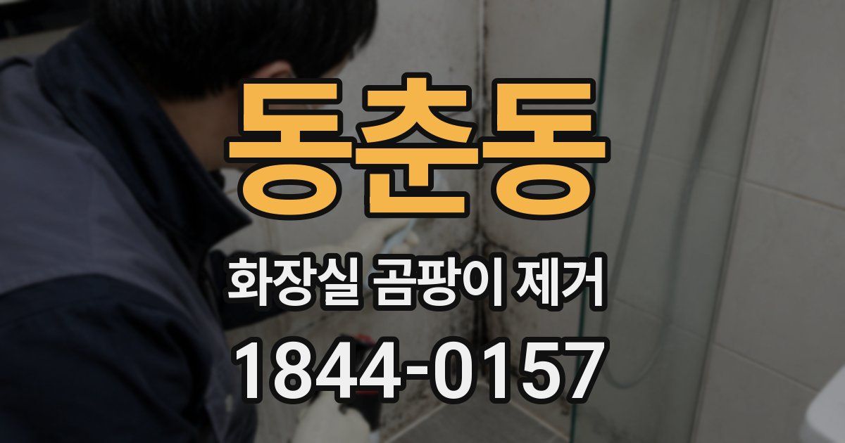 동춘동 화장실 곰팡이 제거