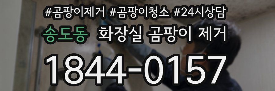송도동 화장실 곰팡이 제거