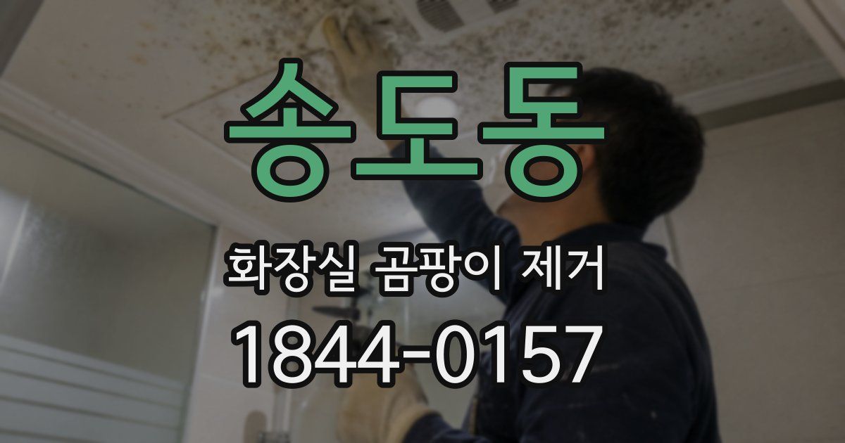 송도동 화장실 곰팡이 제거