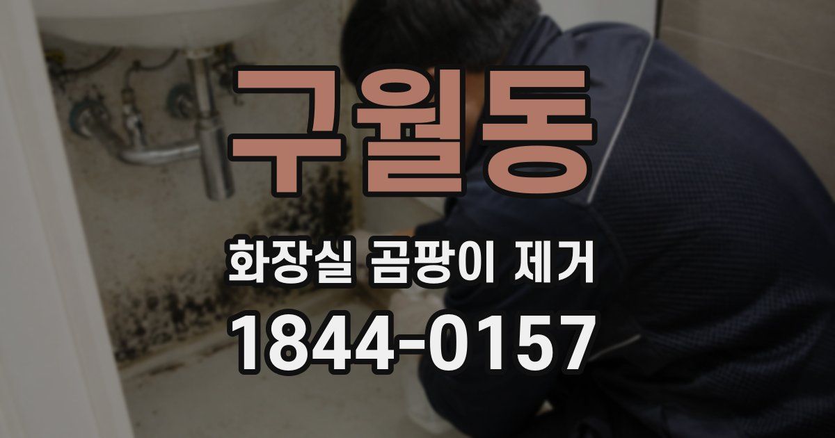 구월동 화장실 곰팡이 제거