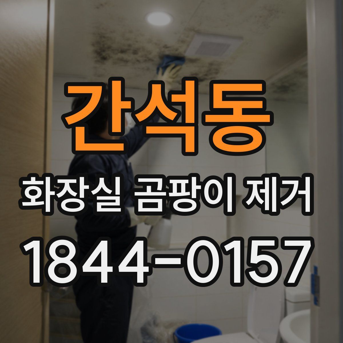 간석동 화장실 곰팡이 제거