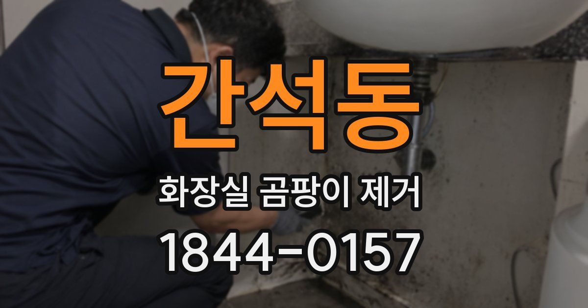 간석동 화장실 곰팡이 제거