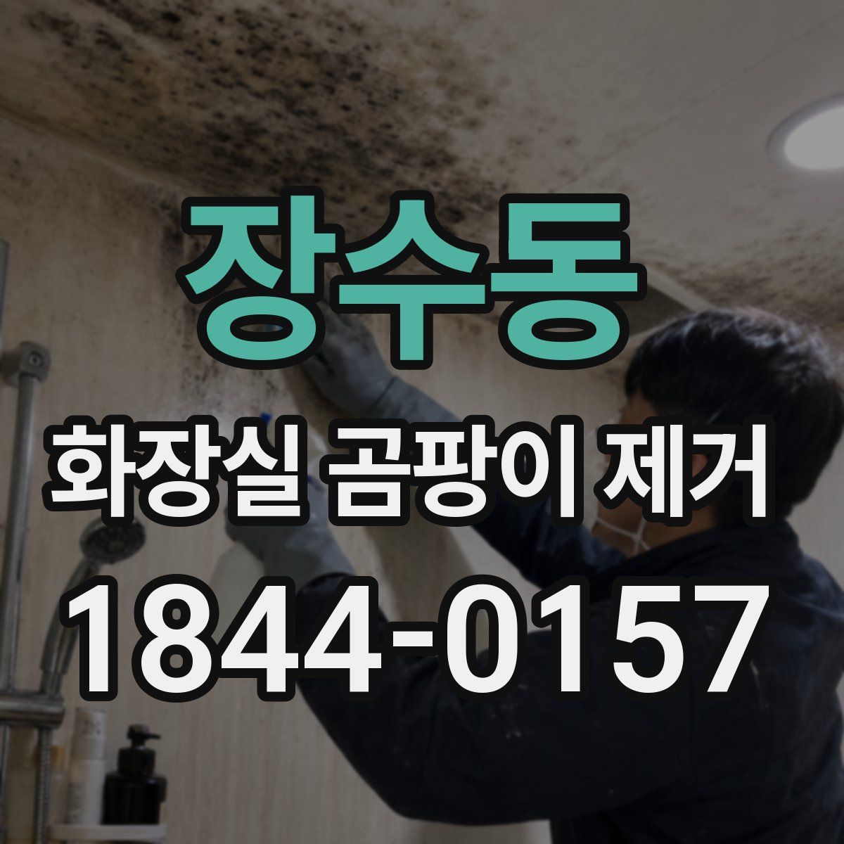 장수동 화장실 곰팡이 제거