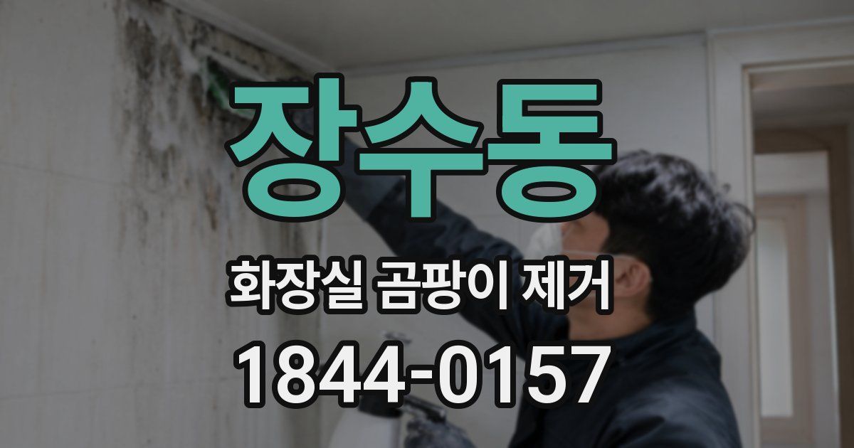 장수동 화장실 곰팡이 제거