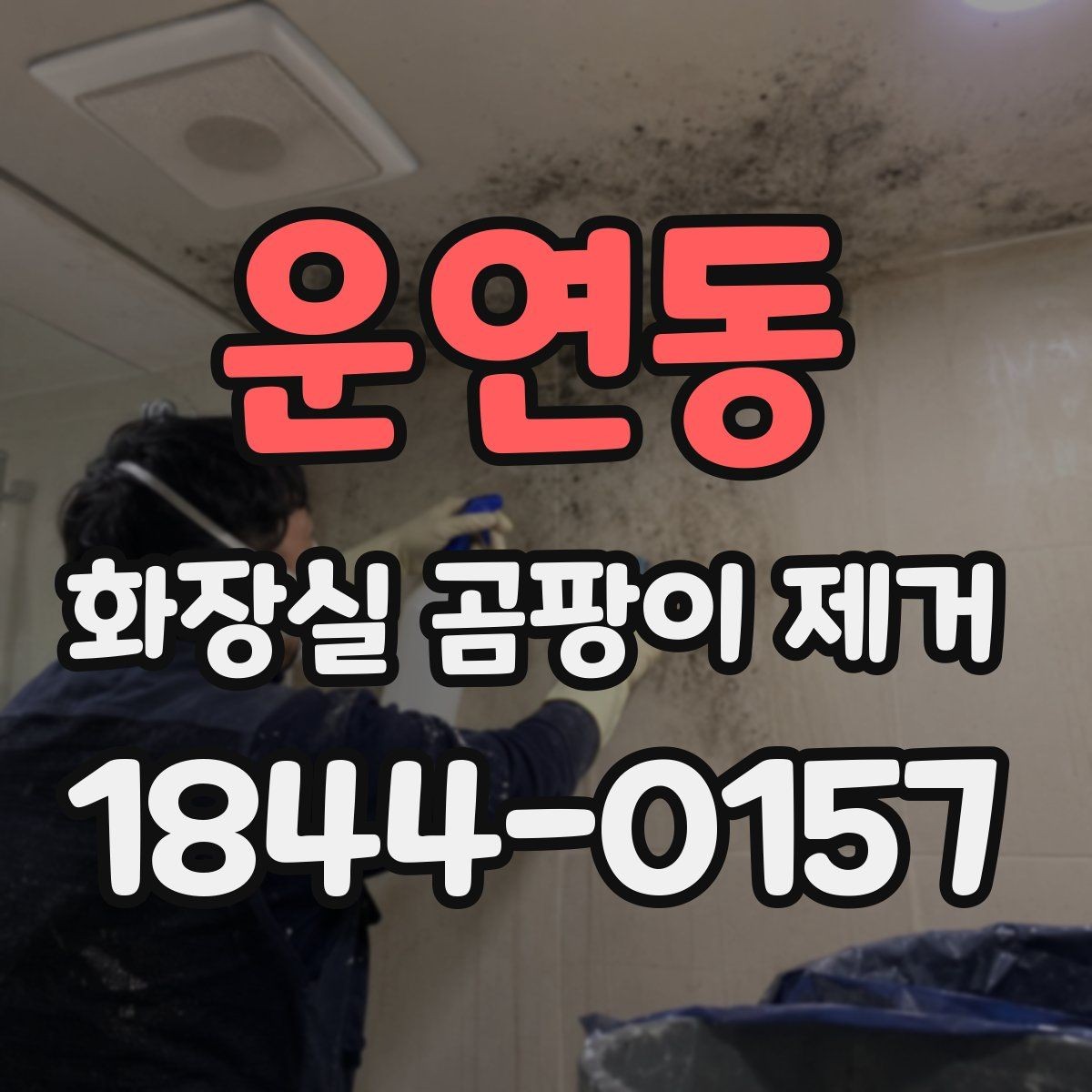 운연동 화장실 곰팡이 제거 브러시 청소가 더 맞는 구간