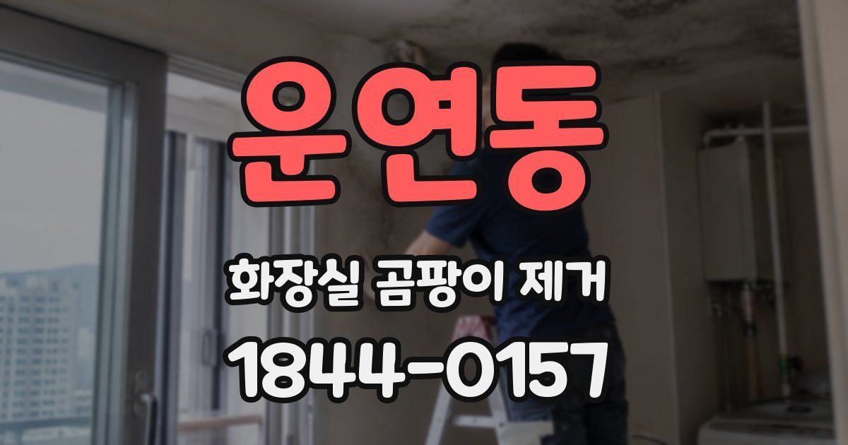 운연동 화장실 곰팡이 제거