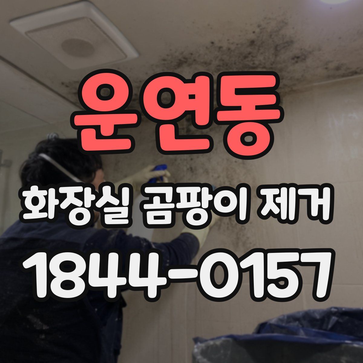 운연동 화장실 곰팡이 제거