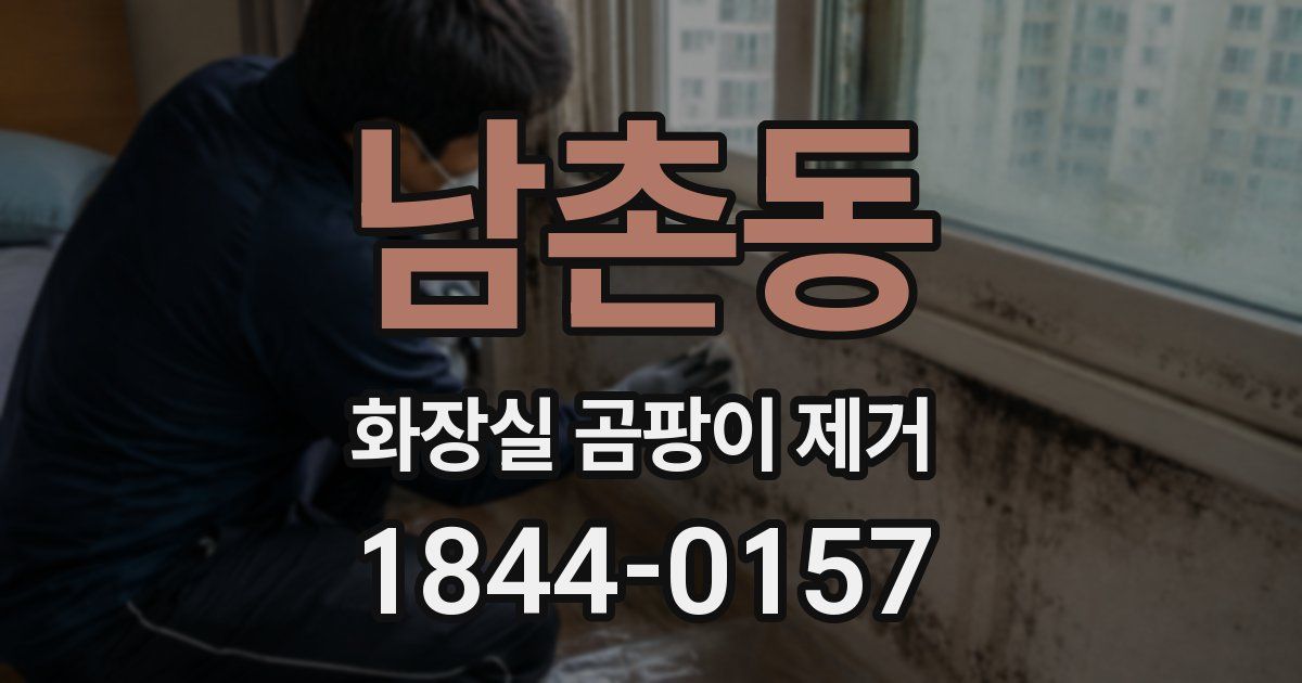 남촌동 화장실 곰팡이 제거