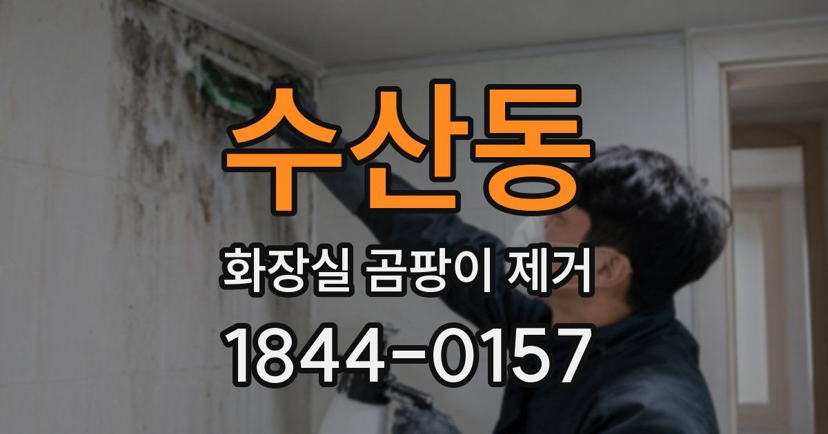 수산동 화장실 곰팡이 제거