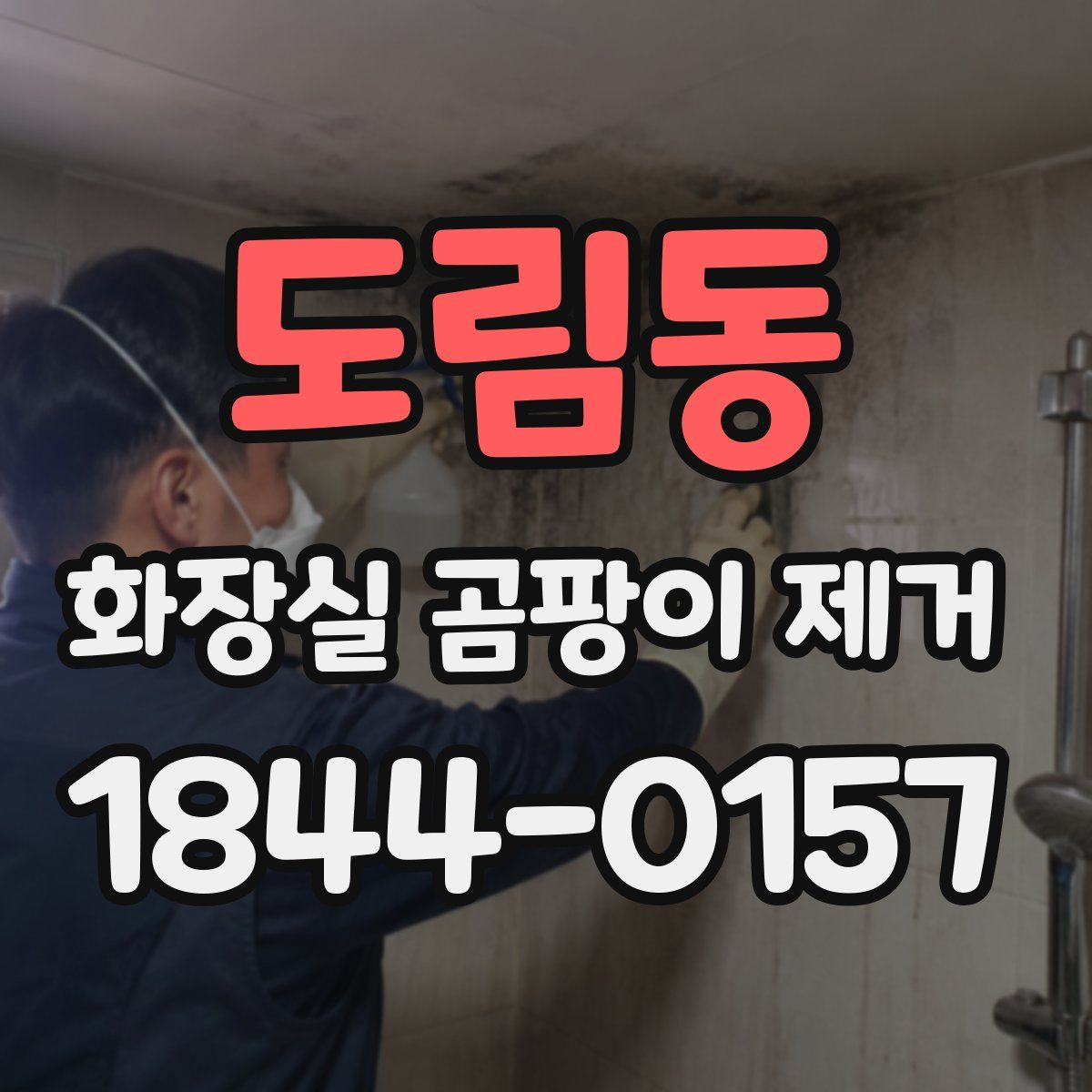 도림동 화장실 곰팡이 제거