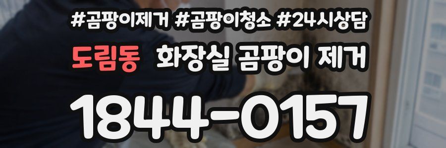 도림동 화장실 곰팡이 제거