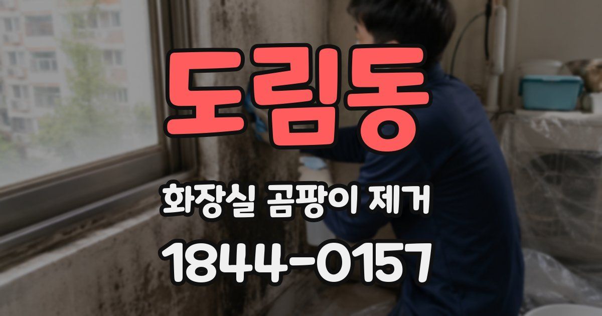도림동 화장실 곰팡이 제거