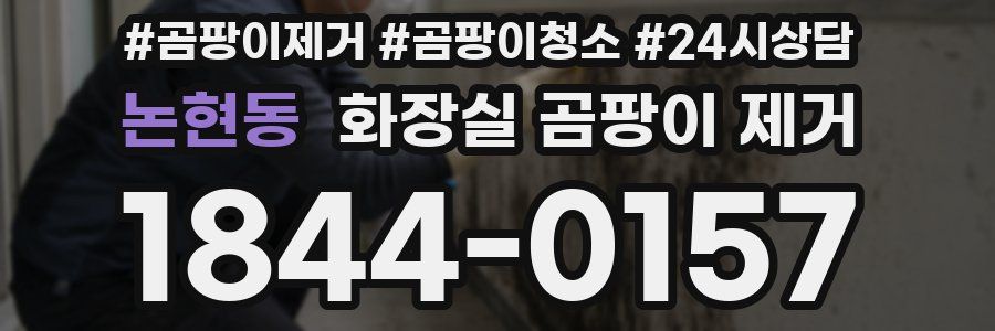 논현동 화장실 곰팡이 제거