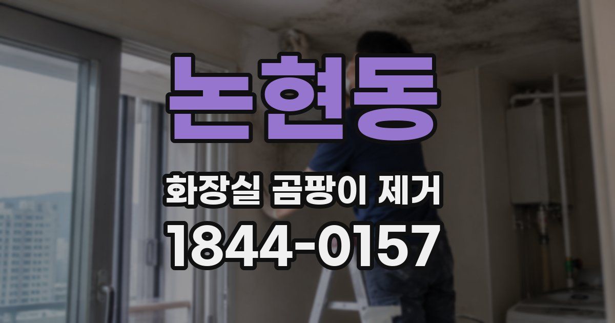 논현동 화장실 곰팡이 제거