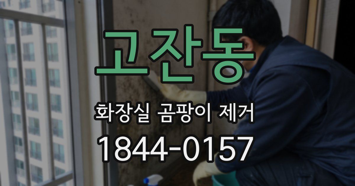 고잔동 화장실 곰팡이 제거