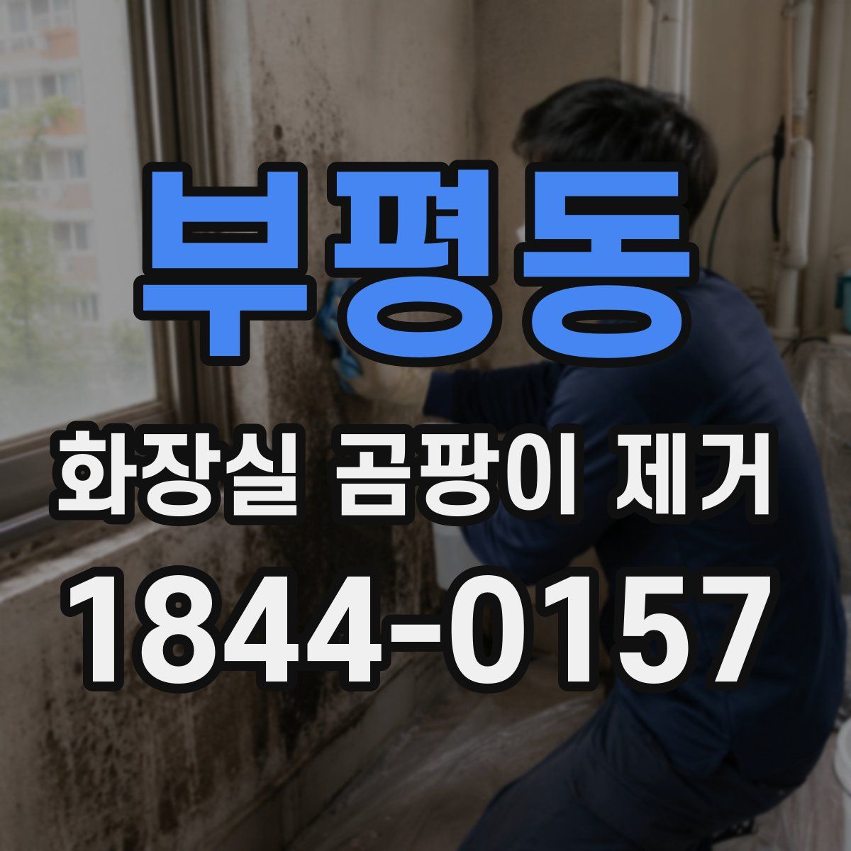 부평동 화장실 곰팡이 제거