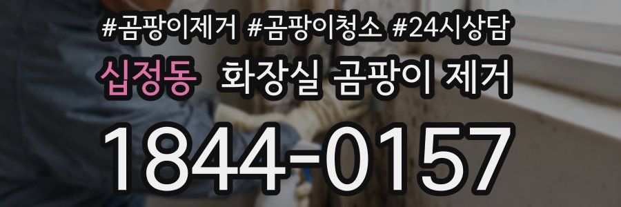 십정동 화장실 곰팡이 제거
