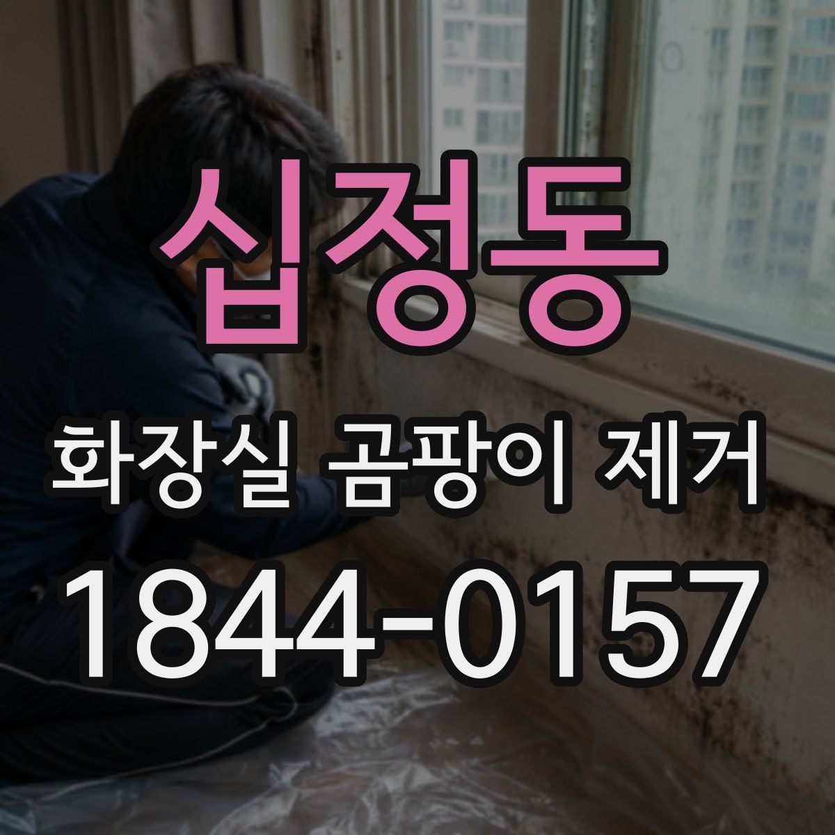 십정동 화장실 곰팡이 제거