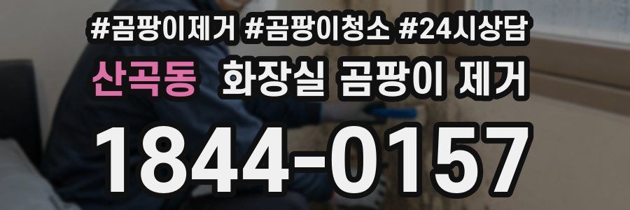 산곡동 화장실 곰팡이 제거