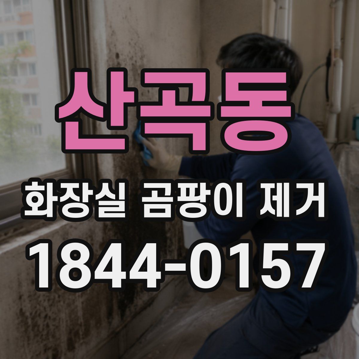 산곡동 화장실 곰팡이 제거
