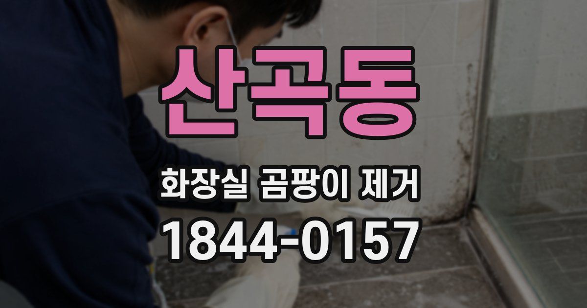 산곡동 화장실 곰팡이 제거