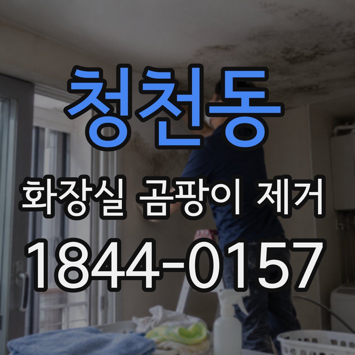 청천동 화장실 곰팡이 제거
