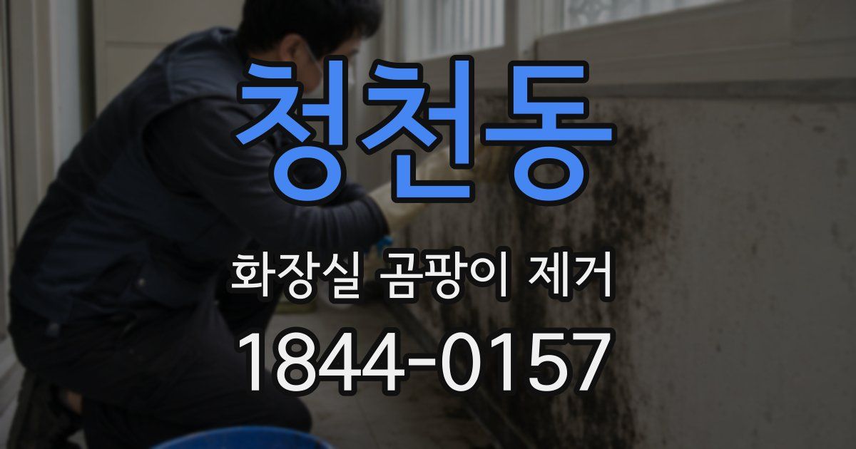 청천동 화장실 곰팡이 제거