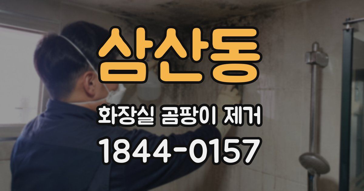삼산동 화장실 곰팡이 제거